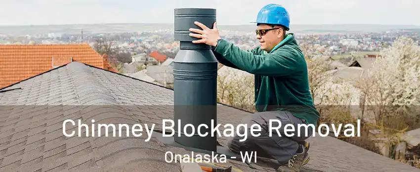  Chimney Blockage Removal Onalaska - WI